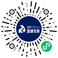 gtsx.png